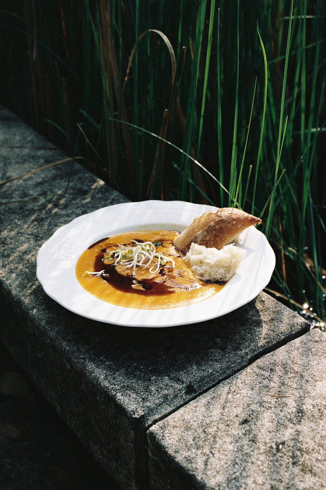 Fanika's Favorite Pumpkin Soup